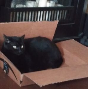 Meet your Posher, Diane